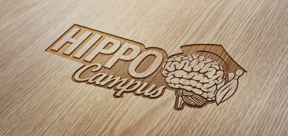 kurumsal kimlik tasarımı logo tasarımı logo tasarımı mockup