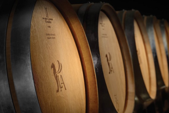 imaj tasarımı kurumsal kimlik amblem logo tasarımı logo mockup