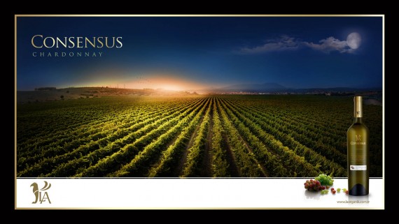 afiş tasarımı profesyonel fotoğraf çekimi