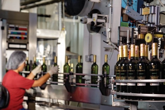 profesyonel fotoğraf çekimi