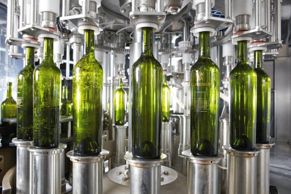 profesyonel fotoğraf çekimi